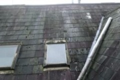 Roofer London